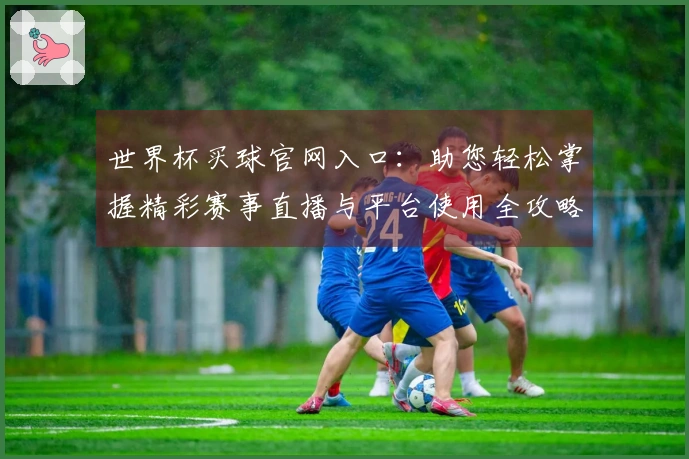 世界杯买球官网入口：助您轻松掌握精彩赛事直播与平台使用全攻略