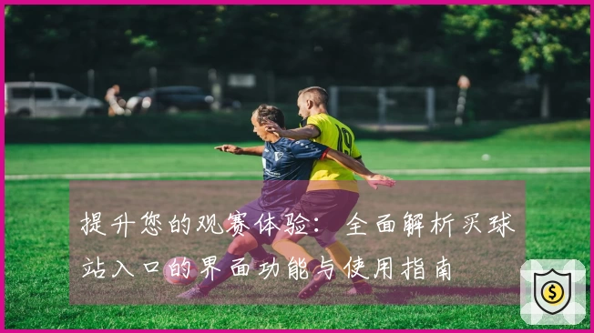 提升您的观赛体验：全面解析买球站入口的界面功能与使用指南