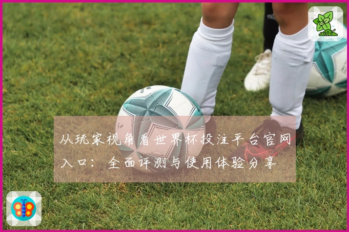 从玩家视角看世界杯投注平台官网入口：全面评测与使用体验分享