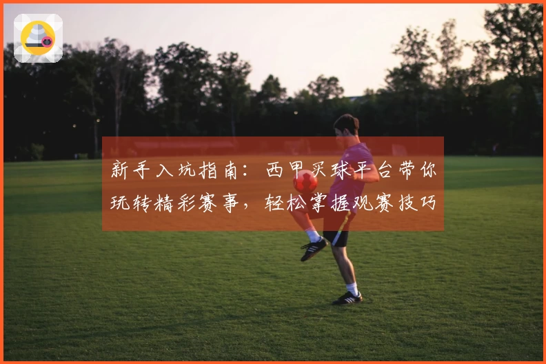 新手入坑指南：西甲买球平台带你玩转精彩赛事，轻松掌握观赛技巧