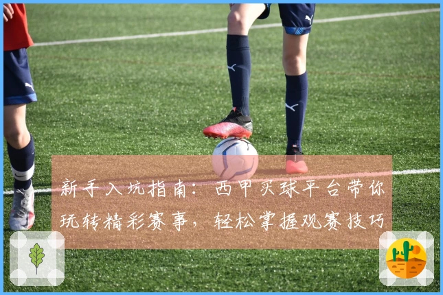 新手入坑指南：西甲买球平台带你玩转精彩赛事，轻松掌握观赛技巧